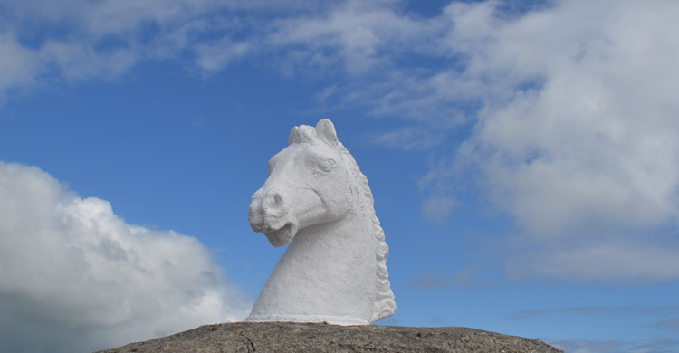 Stone Horse Head at the Dingle Races Entance.