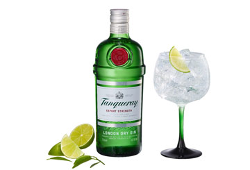 Tanqueray London Dry and Tonic at Paul Geaney's Bar & Restaurant Dingle
